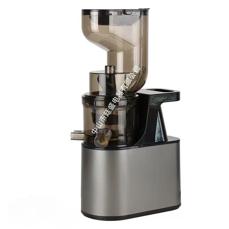 2L Stainless Slow Juicer