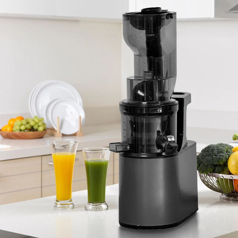 2L Stainless Slow Juicer