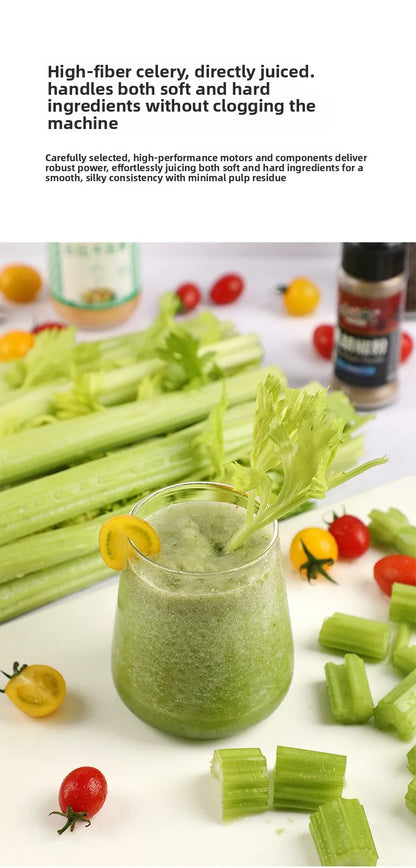 2L Stainless Slow Juicer