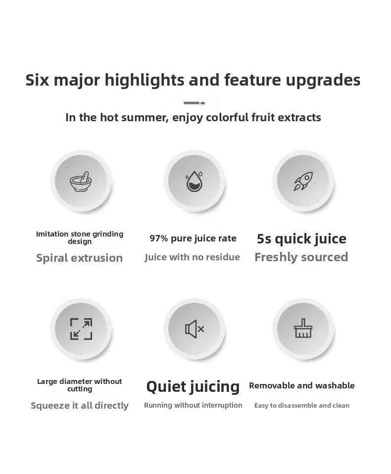 2L Stainless Slow Juicer