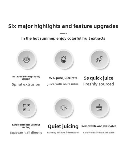 2L Stainless Slow Juicer