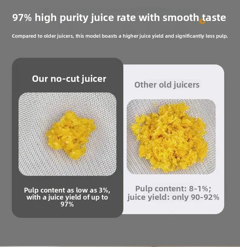 2L Stainless Slow Juicer