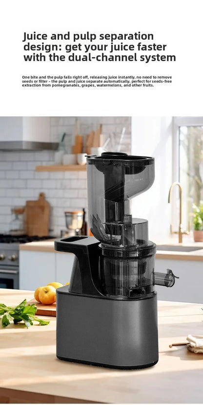 2L Stainless Slow Juicer