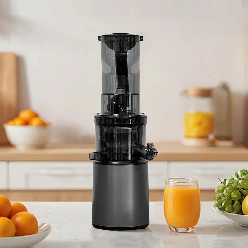 2L Stainless Slow Juicer