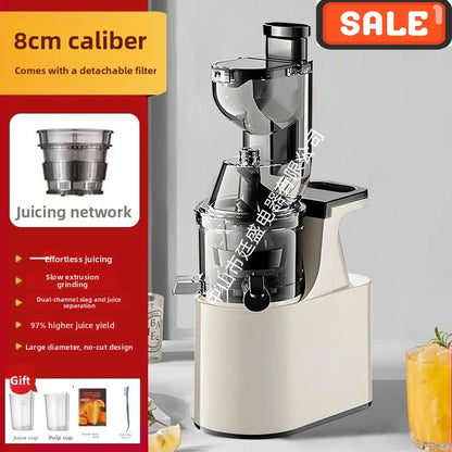2L Stainless Slow Juicer